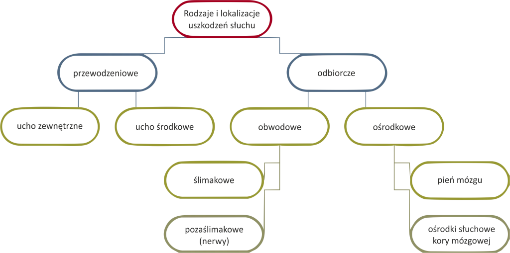 Niedosłuch w schematycznym podziale na rodzaje ubytków słuchu oraz ich lokalizacje.